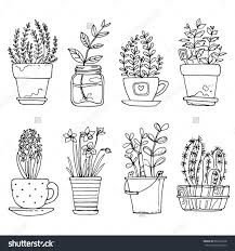 Flowers In Pots Painted Black Line On A White Background Vector Drawing Lines Background Black Drawing Botanical Line Drawing Plant Drawing Plant Doodle