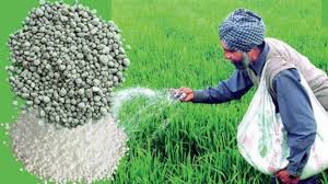 Fertilizer Crisis: ब‍िहार में खाद की क‍िल्लत के ल‍िए कौन ज‍िम्मेदार? - Who  is responsible for fertilizer crisis in Bihar demand and supply of urea dap  -