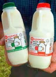 Crediton dairy is one of the uk's leading dairy drinks businesses producing a comprehensive range of fresh flavoured and functional chilled milk drinks, iced coffee drinks and long life milks & creams. Organic Milk Healthier Says New Report Farmers Weekly