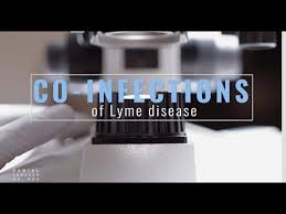 Lyme Disease Videos Co Infections Of Lyme Disease