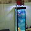 Aquarium merupakan salah satu dekorasi menghias rumah yang tepat. Https Encrypted Tbn0 Gstatic Com Images Q Tbn And9gcs8umeioem Mwbh4pmzry Dmpvrc6hzdmx5bgwkzde Usqp Cau