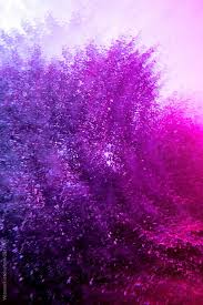  Foliage Prism Abstract Violet Art Background Desktop Texture Wallpaper Blur Bright Co Colorful Trees Artistic Wallpaper Background Images Wallpapers