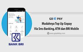 Pin Di Aplikasi Ojek Online