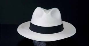 Hats Bring Them Back Hats For Men Mens Fashion Mens Fedora