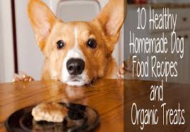 10 healthy homemade dog food recipes