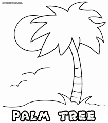 Download free printable palm tree coloring page to color online for kids. Palm Tree Colouring Page Part 3 Free Resource For Teaching
