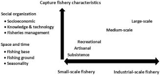 Pekerjaan persiapan 1 permulaan a. Developing A Functional Definition Of Small Scale Fisheries In Support Of Marine Capture Fisheries Management In Indonesia Sciencedirect