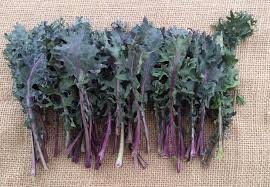 Ultimate Guide To The Different Kale Types And How To Use