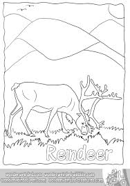Real Reindeer Coloring Pages From Our Real Animal Coloring Pages Collection By Echo At Www Wonder Animal Coloring Pages Coloring Pages Christmas Coloring Pages