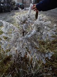 Ghicitorile despre iarna sunt mici versuri despre schimbarile aduse de anotimpul iarna, iar copiii trebuie sa ghiceasca personajele recomanda prietenilor utilecopii.ro. Compunere Iarna Machete Didactice