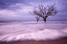 Want Better Landscape Photos First Check Your Definition Of Landscape Nikon Acrylic Wall Art Wall Art Prints Cool Landscapes