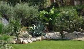 parcs et jardins gourdon paysagiste bordeaux tropischelandschaftsgestaltung parcs et jardins gourdon paysagiste bordeaux arredamento giardino giardino aiuole