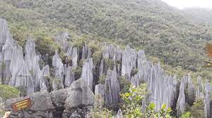 We did not find results for: Mulu World Heritage Area Mulu National Park