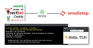 Each page is available in two versions: Run Your Own Private Certificate Authority Acme Server Smallstep Blog