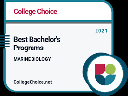 How much money does a marine biologist make in canada. Best Marine Biology Bachelor S Degree Programs 2021 Collegechoice