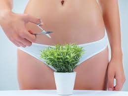 Although the trimmer could have been designed to give a closer cut, it is still the best shaver for pubic hair for men who want to properly, safely and quickly. Is Pubic Hair Finally Back In Fashion The Independent The Independent