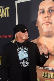 Hulk Hogan Stock Photos