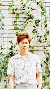 Tumblr wallpaper wallpaper backgrounds iphone wallpaper exo memes kpop exo suho exo wallpapers kpop exo lockscreen exo fan. Kpop Wallpaper Exo Suho Wallpapers Requested