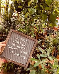 Succulentcity Com Community Of Succulent Cacti Plant Lovers Funny Garden Signs Plant Lover Plants Quotes
