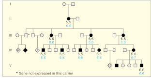 Dwarfism Graph 2019