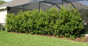 Pin On Ideas For The House