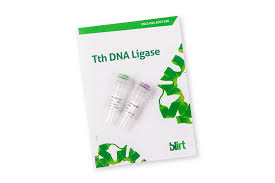 (biochemistry) any of a group of enzymes that catalyze the binding of two molecules; Tth Dna Ligase Enzymes As You Need En13 En13 025 En13 250