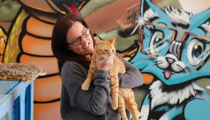 Apparently, there's an old legend about baby jesus who, when he couldn't sleep, was comforted by a warm and purring orange tabby. 5 Facts About Tabby Cats 5 Facts About Tabby Cats