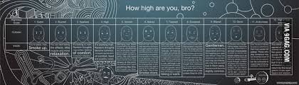 Take this test to light up the stoned meter and see how many balls you are trippin. How High Are You Bro 9gag