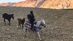 Последние твиты от natalie amiri (@natalieamiri). Nomadin Als Kickbox Meisterin Weltspiegel Ard Das Erste