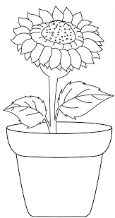 Sunflower Coloringpictures Sunflower Coloring Pages Flower Pattern Drawing Flower Coloring Pages 100% free flowers coloring pages.