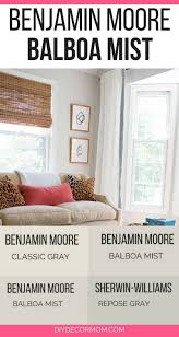 It's a light gray with warm undertones. Benjamin Moore Balboa Mist Reviews In Real Homes