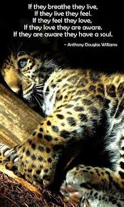 Pin By Donelle Irvine On Animal Print Animals Beautiful Animal Quotes Animals Wild