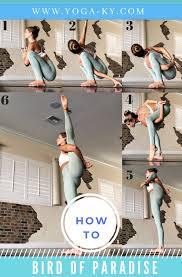 How To Bird Of Paradise Yoga Ky Bird Of Paradise Yoga Yoga Postures Types Of Yoga