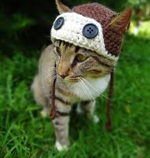 Sapkali Kediler Ve Kopek Crochet Cat Hat Cat Hat Pattern Crochet Dog