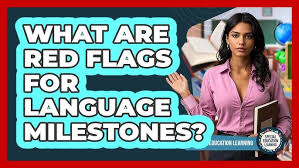 Image result for Language Milestone Red Flags