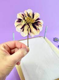 Maybe you would like to learn more about one of these? Diy Wood Flower Press Tutorial Pressed Flowers Florals Dreamalittlebigger 03 Dream A Little Bigger