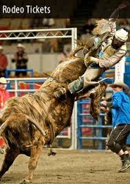 970 Best Bull Riding Images In 2019 Bull Riding Bull