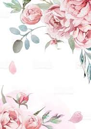 Watercolor Light Pink Rose Peonies With Gray Grass On White Flower Background Wallpaper Floral Poster Flower Painting