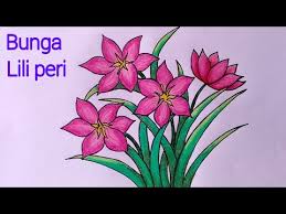 Kumpulan sketsa tari lili : Sketsa Bunga Lili