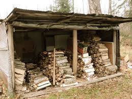 The terms primitive and advanced, etc., are not properly used in referring to a species or an organism as any species or organism is a mosaic of primitive and derived traits. Rustic Woodshed Wood Shed Wood Rustic Wood