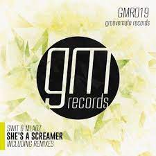 Often these screams are coupled with a scary image. Swit Mladz She S A Screamer Kris Sach Remix Sample Groovemate By Bye Free Listening On Soundcloud