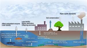 Distribution of rare earth elements in various mines is shown in figure 1. Cryptic Footprints Of Rare Earth Elements On Natural Resources And Living Organisms Sciencedirect