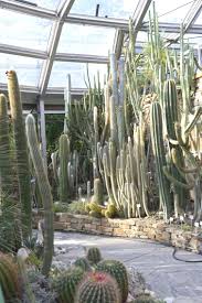 The Botanic Garden In Berlin Botanical Gardens Trees To Plant Garden