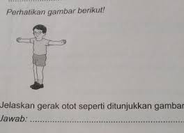 Ada tiga jenis jaringan otot dalam tubuh manusia: Y Cqzfgje9owxm