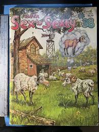 SEXY ADULT CARTOONS COMICS HUMOR Vintage 1975 SEX TO SEXTY Nudes Raunchy  JOKES | eBay