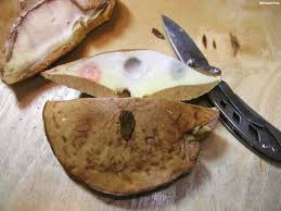 Image result for Suillus weaverae