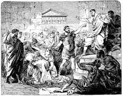 Image result for Iphigenia oliveri