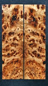 Stabalized Black Ash Burl Burled Wood Wood Veneer Wood Slab
