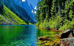 Nature Landscape Clear Mountain River Stone Pine Forest And Mountainous Peaks Desktop Wallpaper Hd 4780 Wallpapers13 Com