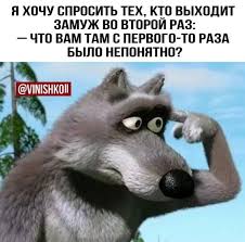 pin by svetlana on yumor animals lockscreen husky